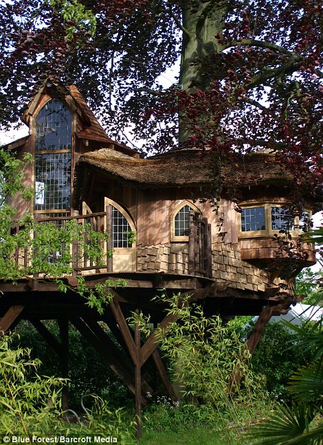 Live In A Treehouse Treehouse Nation